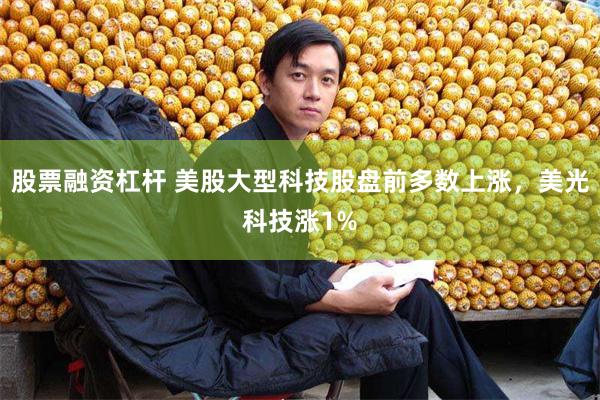 股票融资杠杆 美股大型科技股盘前多数上涨，美光科技涨1%