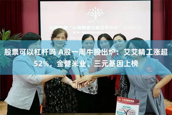 股票可以杠杆吗 A股一周牛股出炉：艾艾精工涨超52%，金健米业、三元基因上榜
