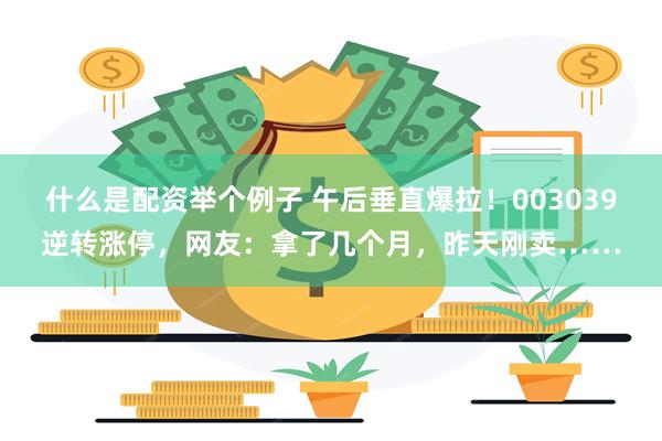 什么是配资举个例子 午后垂直爆拉！003039逆转涨停，网友：拿了几个月，昨天刚卖……