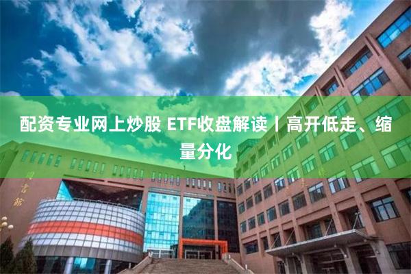 配资专业网上炒股 ETF收盘解读丨高开低走、缩量分化