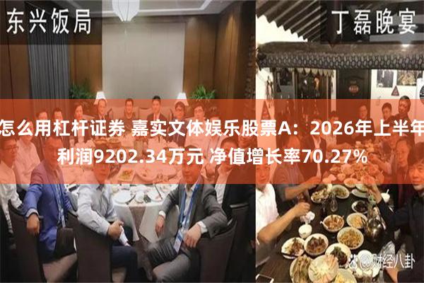 怎么用杠杆证券 嘉实文体娱乐股票A：2026年上半年利润9202.34万元 净值增长率70.27%