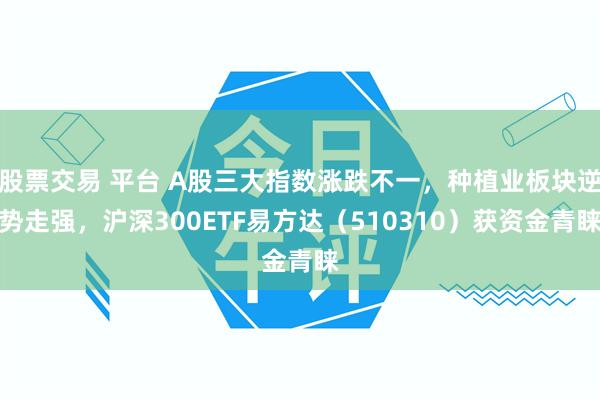 股票交易 平台 A股三大指数涨跌不一，种植业板块逆势走强，沪深300ETF易方达（510310）获资金青睐