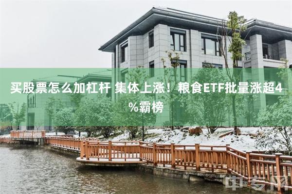买股票怎么加杠杆 集体上涨！粮食ETF批量涨超4%霸榜