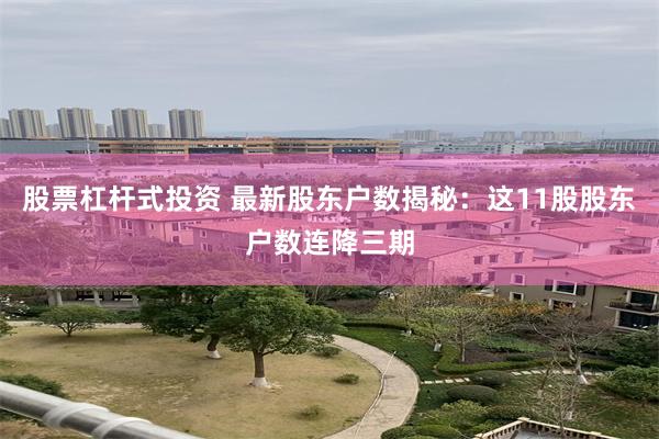股票杠杆式投资 最新股东户数揭秘：这11股股东户数连降三期