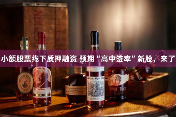 小额股票线下质押融资 预期“高中签率”新股，来了