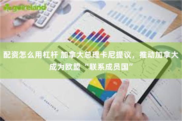 配资怎么用杠杆 加拿大总理卡尼提议，推动加拿大成为欧盟 “联系成员国”