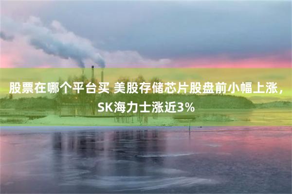 股票在哪个平台买 美股存储芯片股盘前小幅上涨，SK海力士涨近3%
