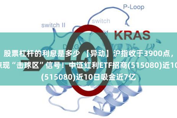 股票杠杆的利息是多少 【异动】沪指收于3900点，40日收益差惊现“击球区”信号！中证红利ETF招商(515080)近10日吸金近7亿