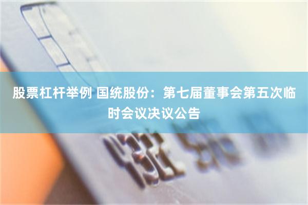 股票杠杆举例 国统股份：第七届董事会第五次临时会议决议公告