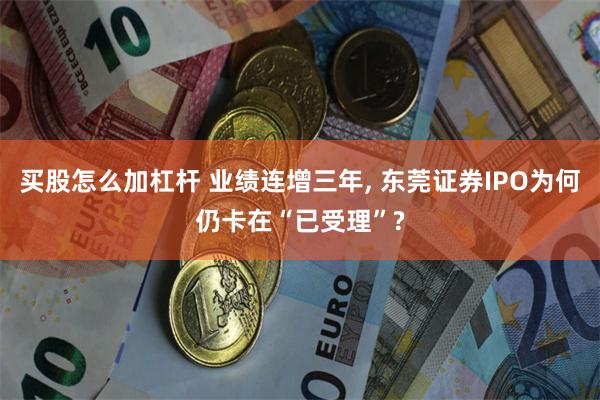 买股怎么加杠杆 业绩连增三年, 东莞证券IPO为何仍卡在“已受理”?