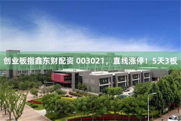 创业板指鑫东财配资 003021，直线涨停！5天3板