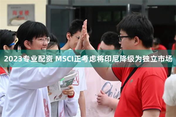 2023专业配资 MSCI正考虑将印尼降级为独立市场