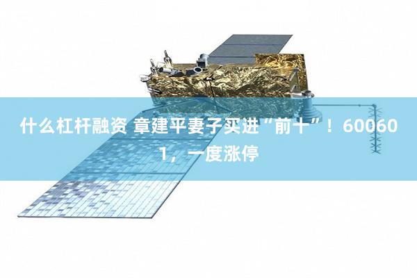 什么杠杆融资 章建平妻子买进“前十”！600601，一度涨停
